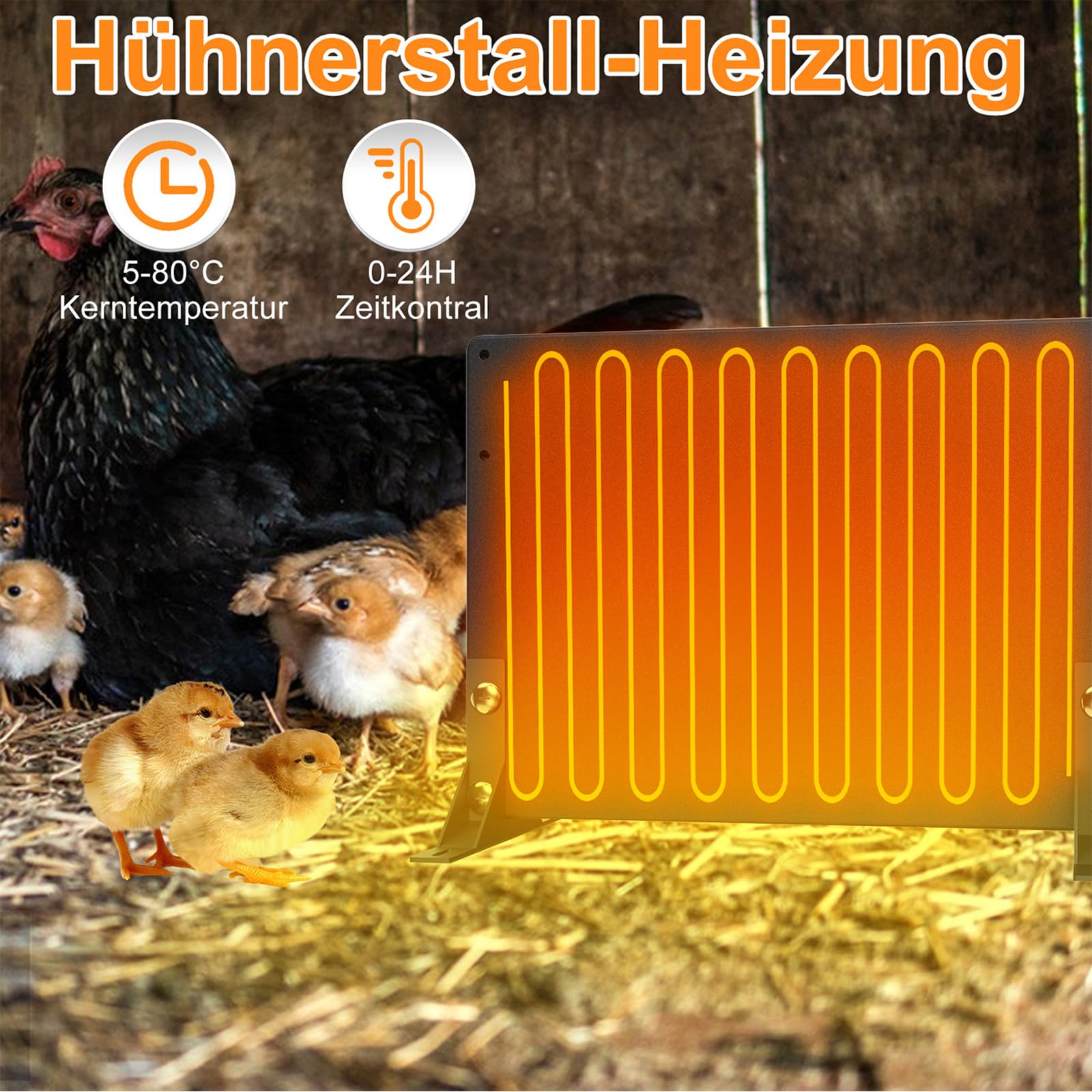 Värmeplatta med hönsmamma och kycklingar i ett hönshus.