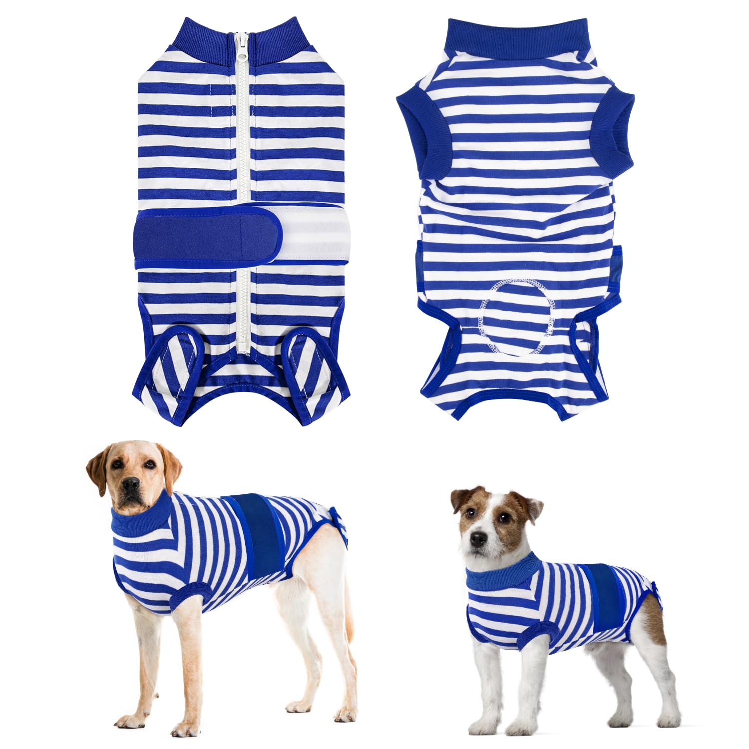 Blå- och vitrandig hunddräkt visas framifrån, bakifrån och på två hundar.