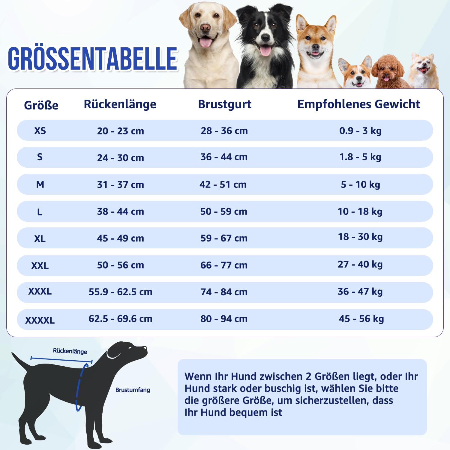 Storlekstabell med rygglängd, bröstomfång och rekommenderad vikt för hundar.