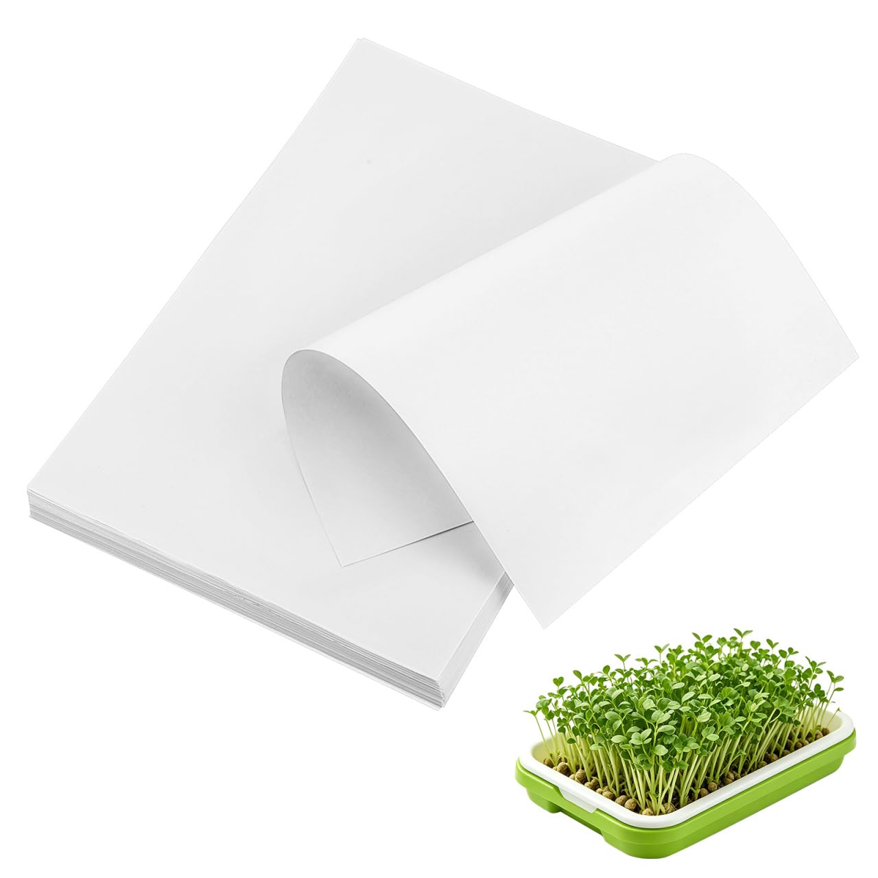 Vita fröpapper med en grön odlingslåda fylld av små groddar.